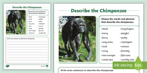Completely get of Portable Watchword Chimpanzee 1.5.3.7